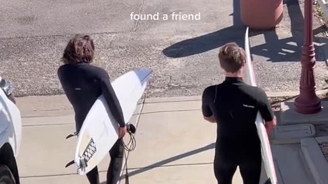 pov: you date a surfer