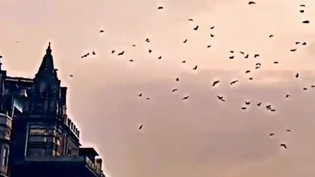 wow