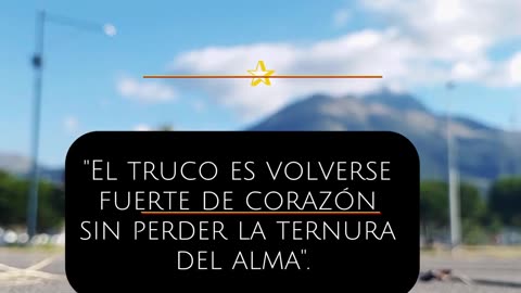 Frases motivación 🌛🕊️🤍