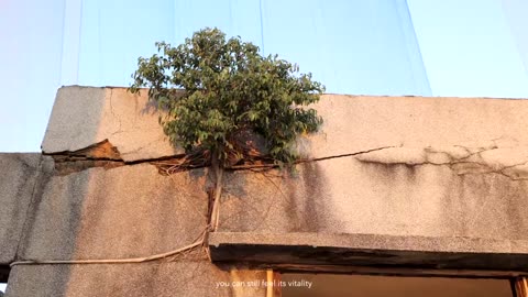 Timeless Beacon by Ma Yansong