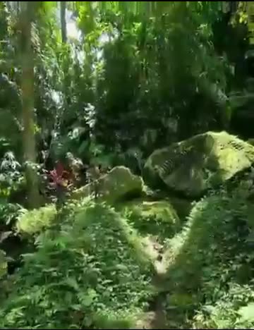 Bali, Indonesia. What was its purpose, were frequencies involved