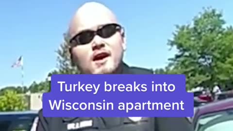 Turkey breaks intoWisconsin apartment