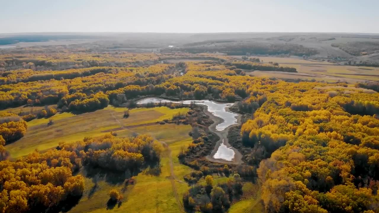 Enchanting Autumn Forests with Beautiful Piano Music