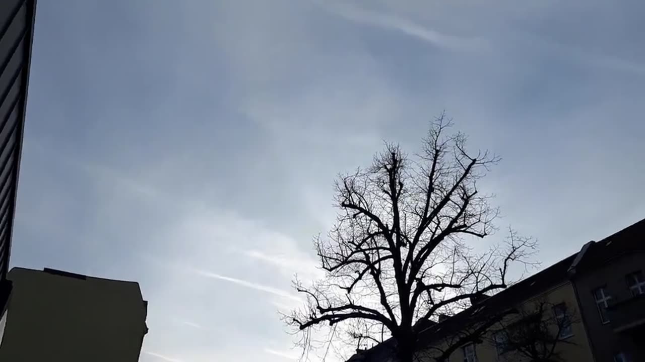 Himmel in Berlin am 29.01.2024 um 15:24 Uhr