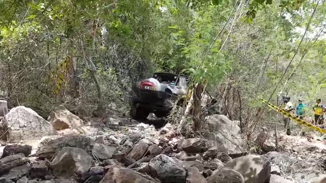 Get in the car and go on a forest adventure
