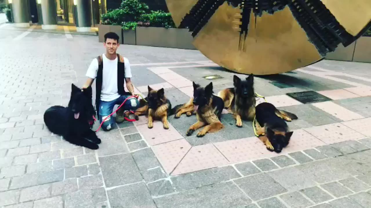 When your dog is like your sibling 🤣 Funny Dog and Human