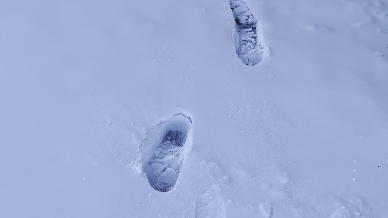 -45 temp /freezing wverywhere