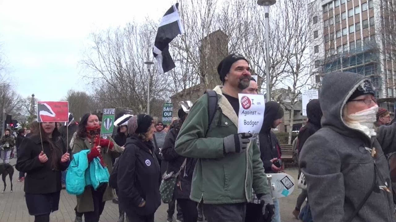 Save the Badger Demonstration Ocean City Plymouth Part 2. 19th March 2016 . Save the Badger