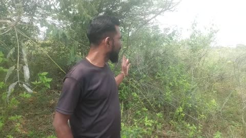 snake sanjay coimbatore snake 🐍release videos