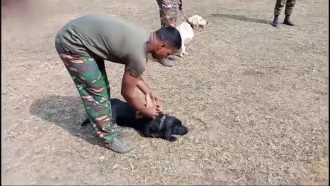 Indian Army Dog Training Single Hand