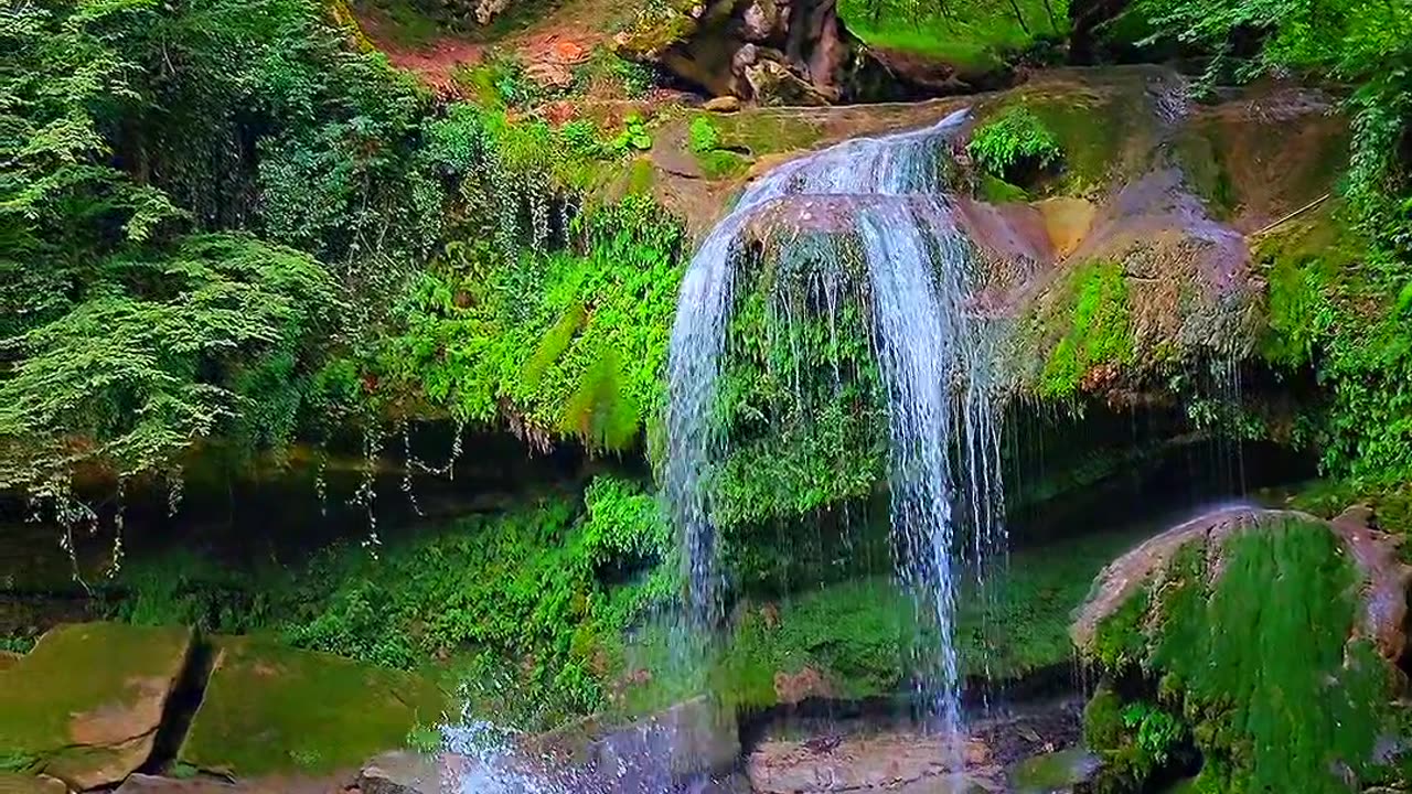 All kinds of diving in the beautiful Fu rivers in the forest