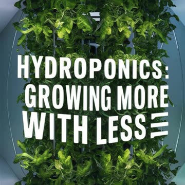 How To Build Hydroponic System Lisa's Story