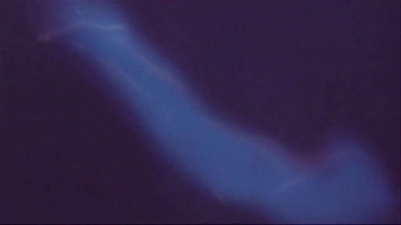 Planet Ocean
