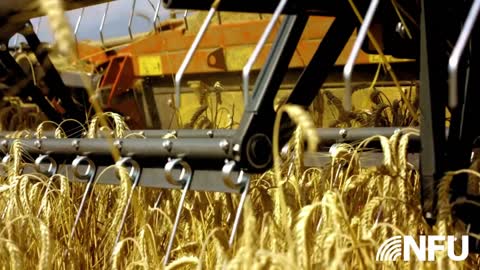 How to stay safe during Harvest #FarmSafetyWeek