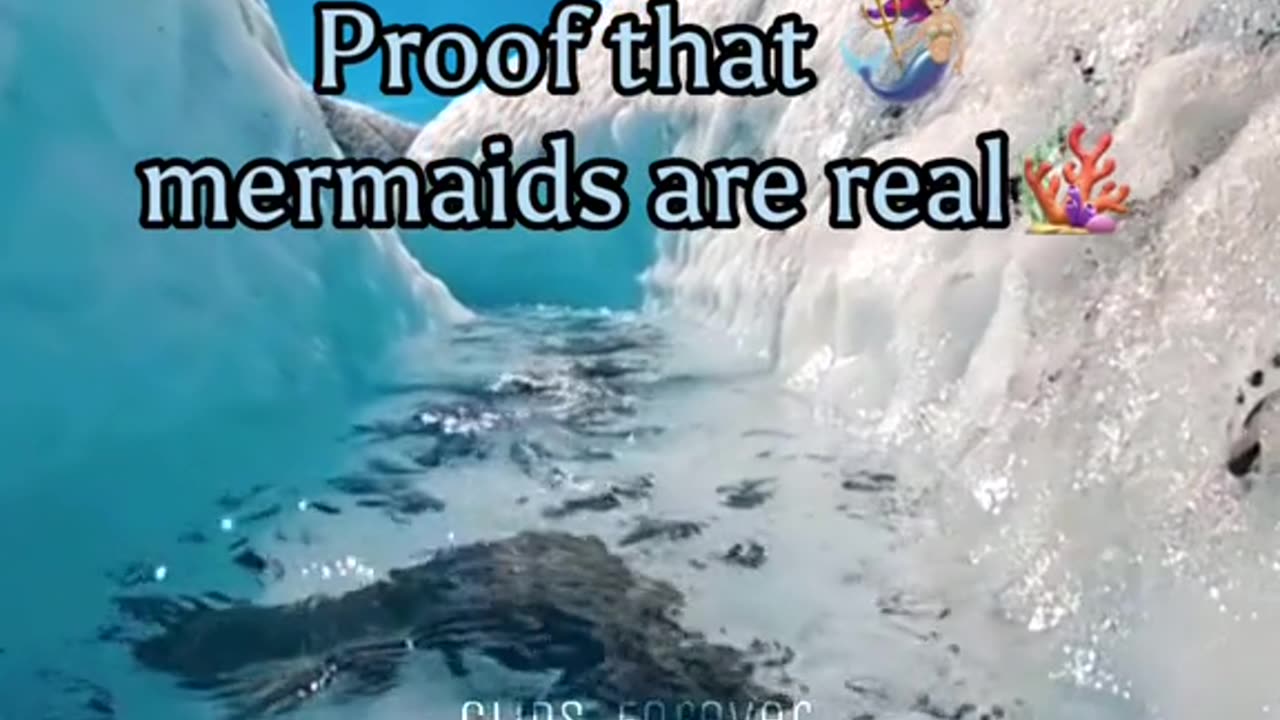 Mermaids are real