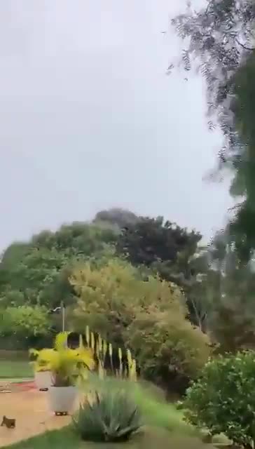 62 People Died When a Passenger Plane Fell Out of the Sky in Sao Paulo, Brazil