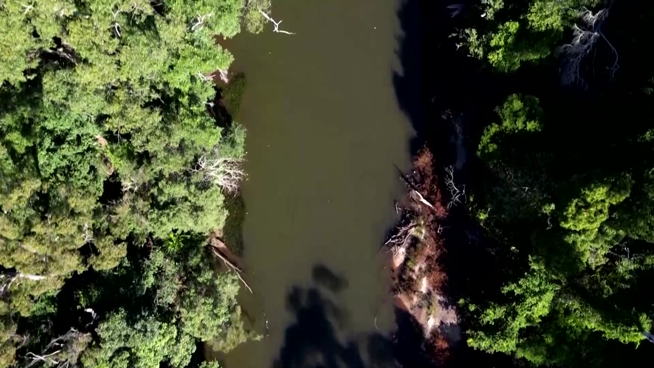 Platypus returns to Australia’s oldest national park