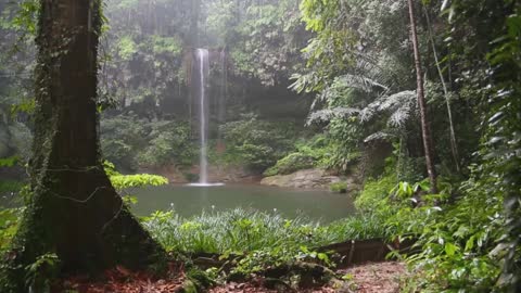 Rain + Waterfall at Forest Video #2