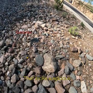 Would the Geocache be under this pile of Rocks?