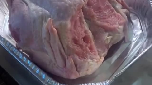 So we left our turkey out to defrost and came home and it's whole ass is gone