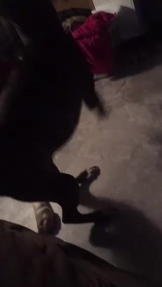 Time to be shake part 3