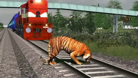 Angry Tiger on Railways