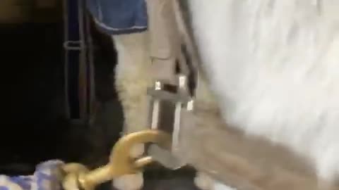 2022-1-23 Mr. Pooh enjoys treats