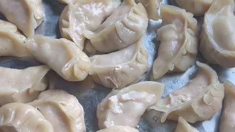 Making gyoza