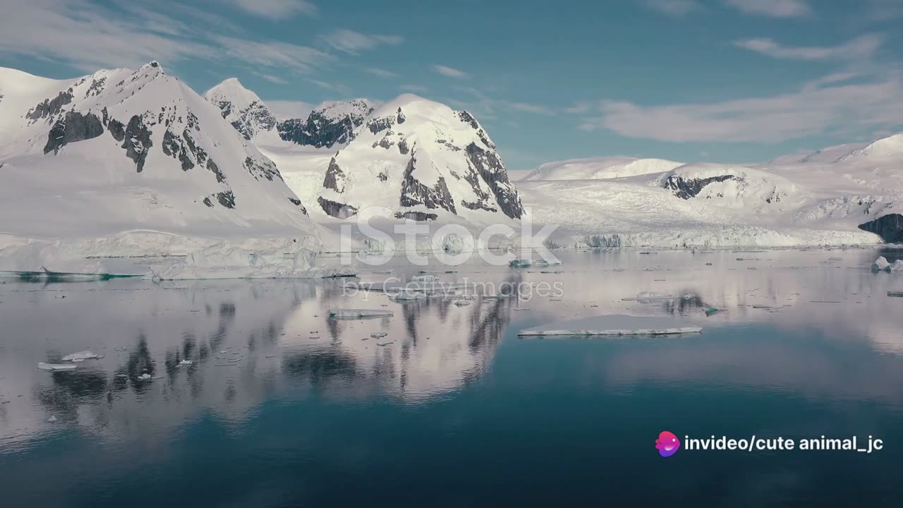 Oceans Unveiled: A Comprehensive Documentary on the World's Seas