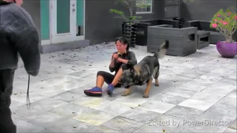 Step by step, Guard Dog Training!