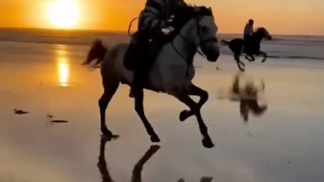 horseback riding on the beach