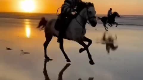 horseback riding on the beach