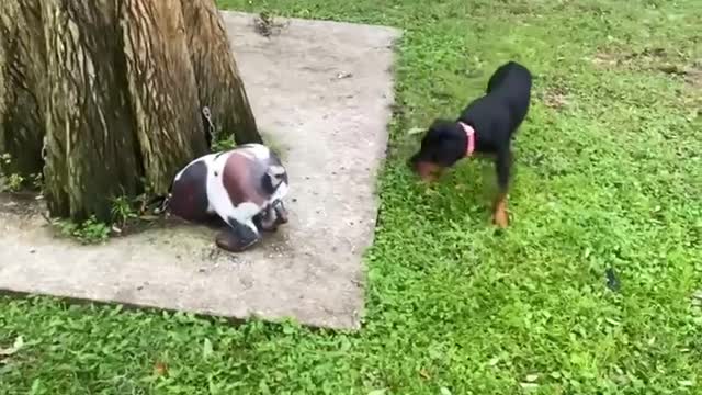 IS THAT A….. BUTT!?