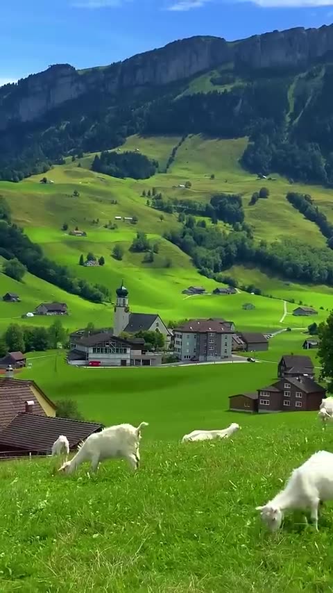 Switzerland Beauty 🙂☺️