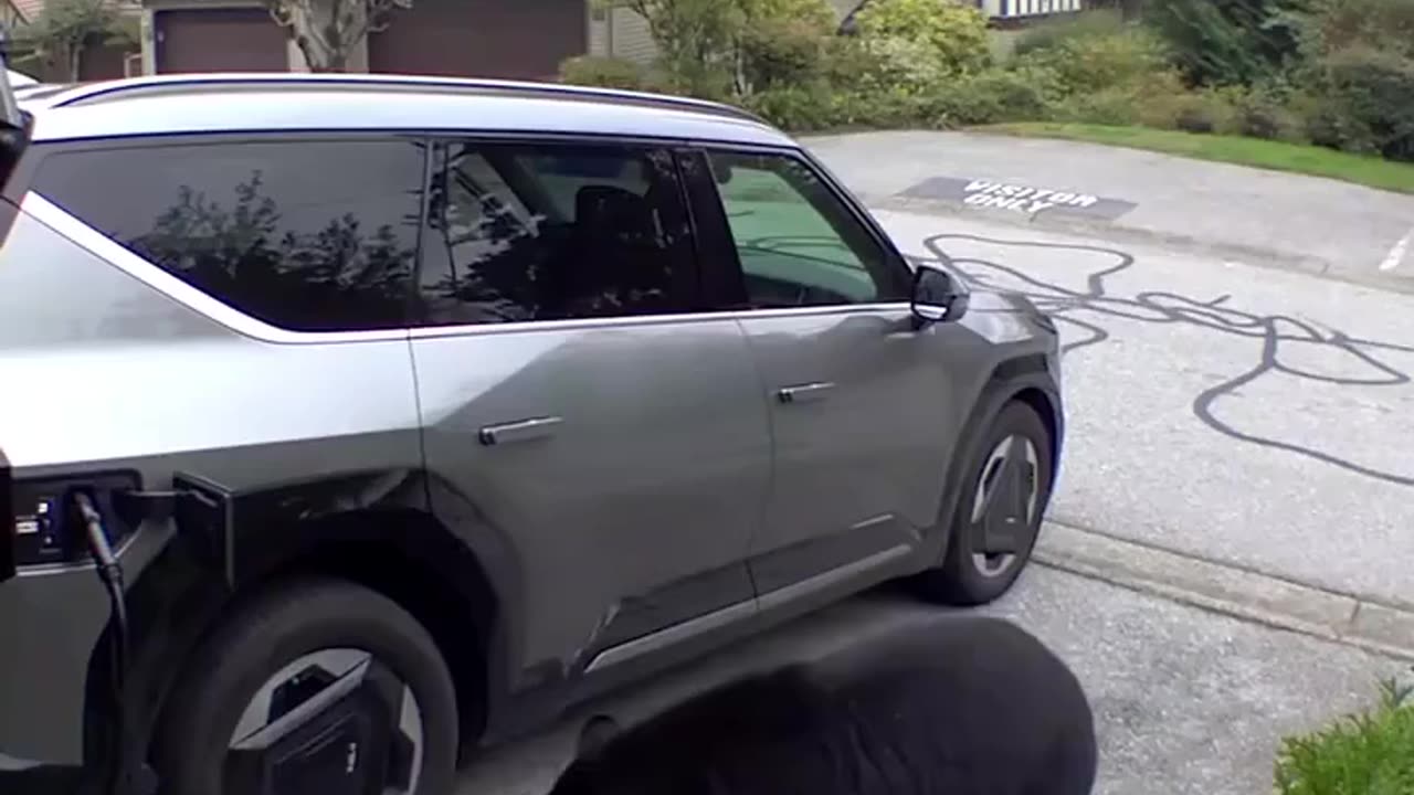 Canadian citizen surprises with a bear in the garage😱