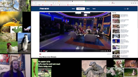 Gutfeld 3/8/2023 Watchalong