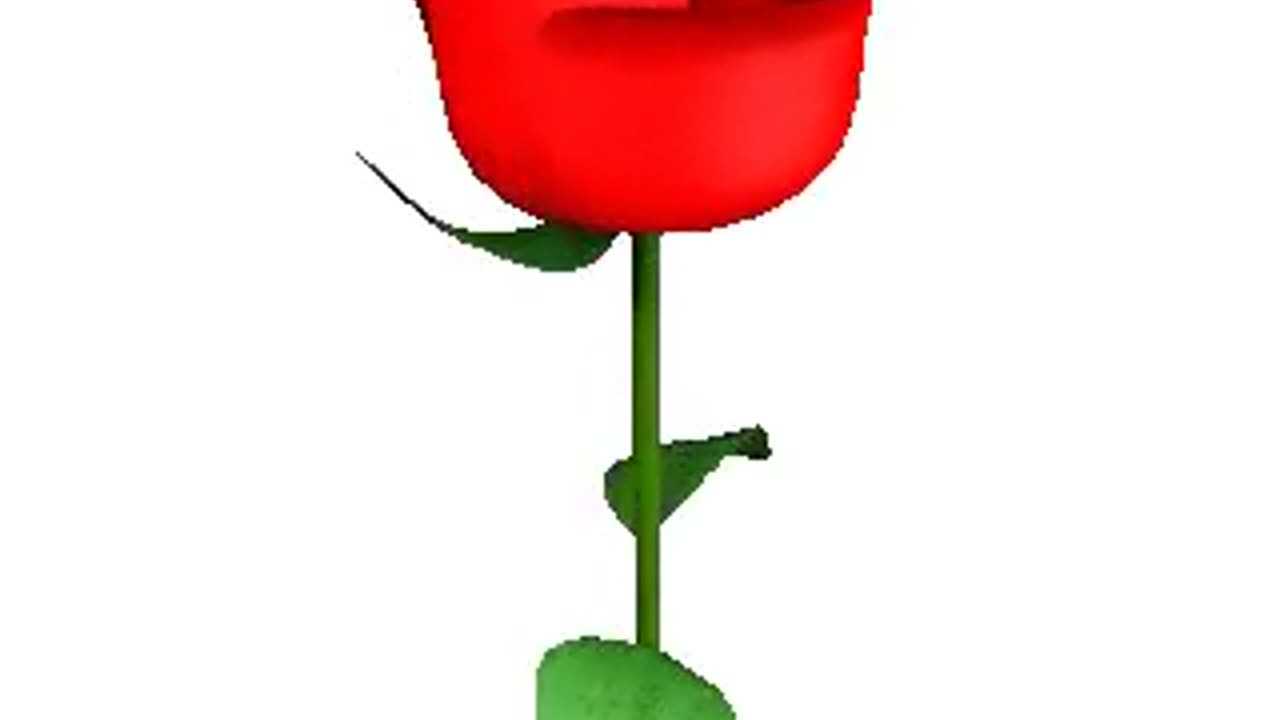 Rose flawer