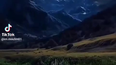 Naturses