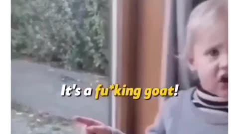 Its a fucking goat 😃