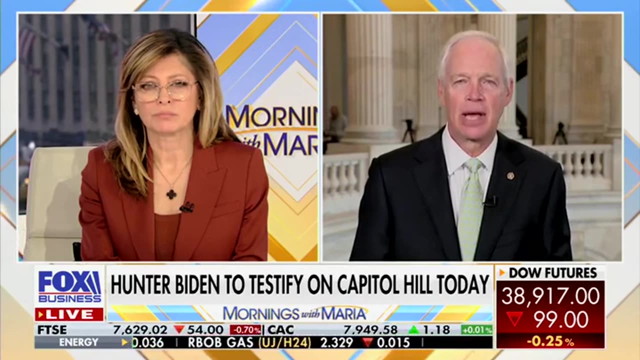 Senator Ron Johnson calls Joe Biden the “Don” of the Biden Crime Family.