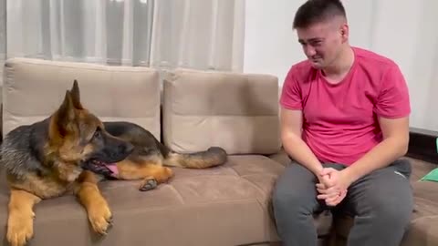 German Shepherd Puppy Reaction to Me Crying