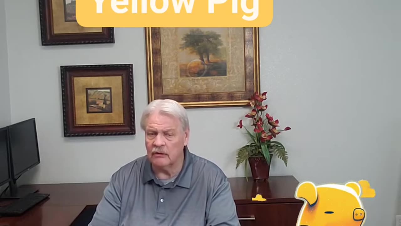 Yellow Pig