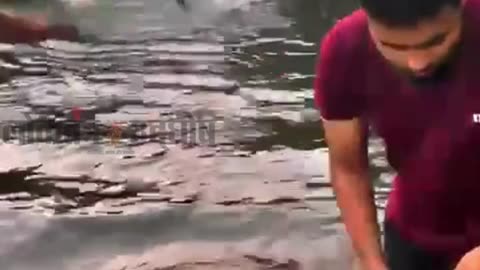 video news