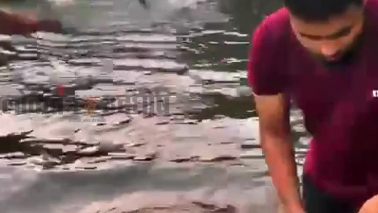 video news