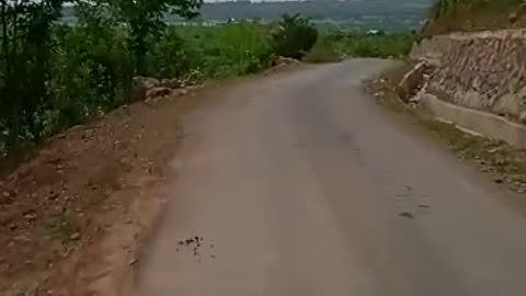 Dangerous roads in india