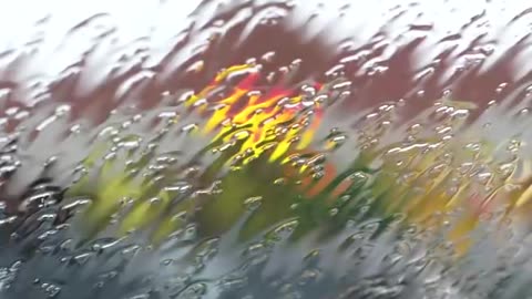 ♥♥ 8 Hours of Relaxing Sounds of Rain Falling on a Roof!