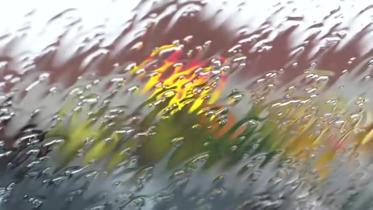 ♥♥ 8 Hours of Relaxing Sounds of Rain Falling on a Roof!