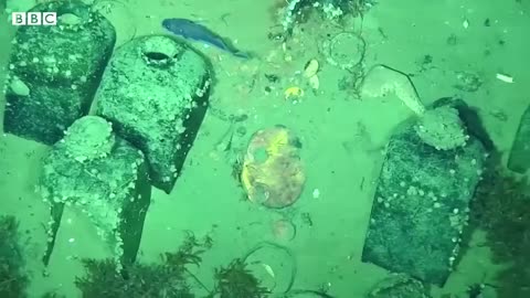 San José galleon: Two new shipwrecks found off Colombian coast - BBC News