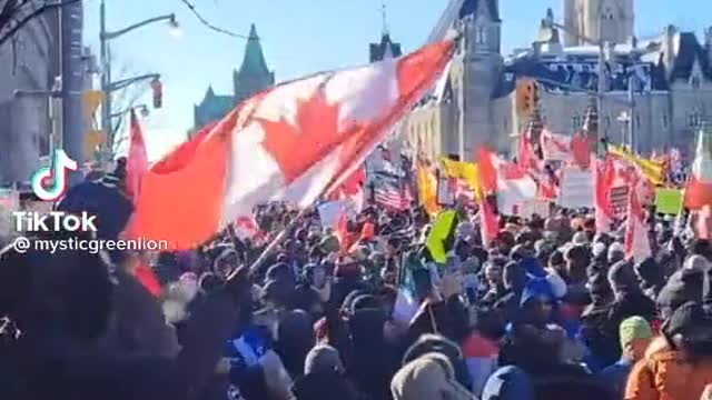 Racist Trucker Facism in Ottawa Canada