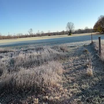 Frosty, crunchy morning
